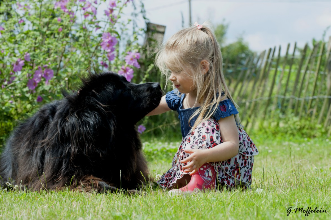 Photographe Bailleul et Merville