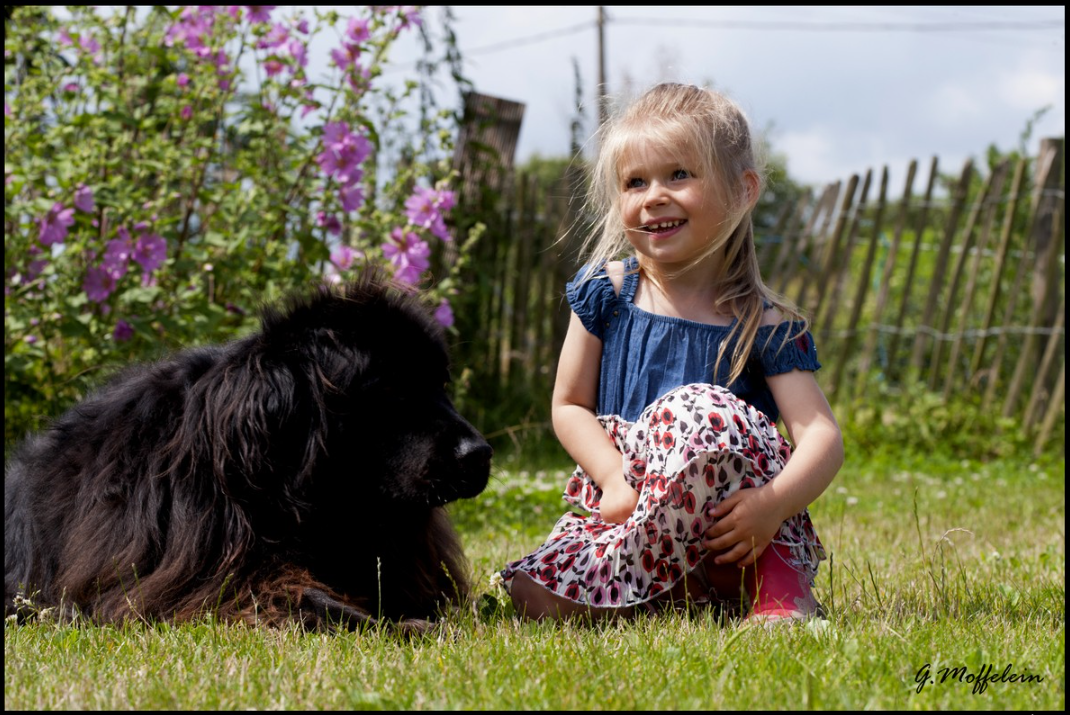 Photographe à Hazebrouck, Bailleul, Steenvoorde, Merville